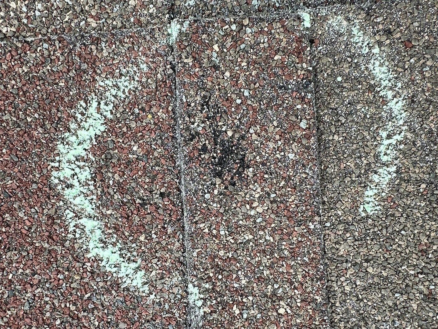 Hail hit on an asphalt shingle, circled in chalk during a roof inspection